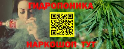 крисы Гай
