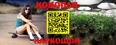 хмурый Гатчина